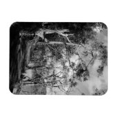 BOMEN MAGNEET (Horizontaal)