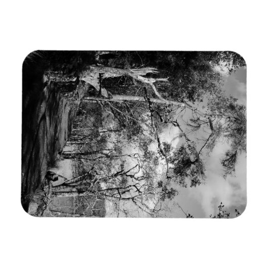 BOMEN MAGNEET (Horizontaal)