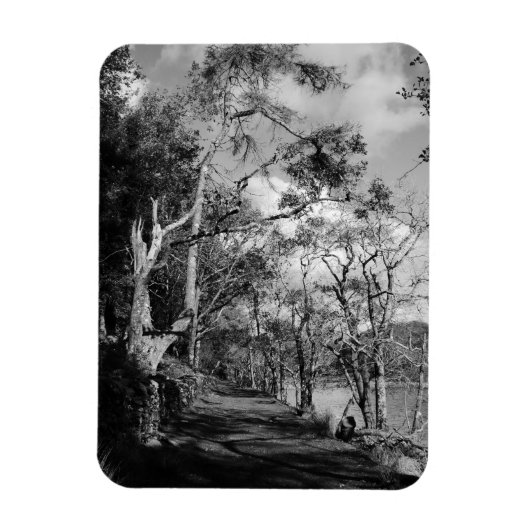 BOMEN MAGNEET (Verticaal)