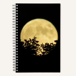 Bomen met achtergrondverlichting door volle maan notitieboek