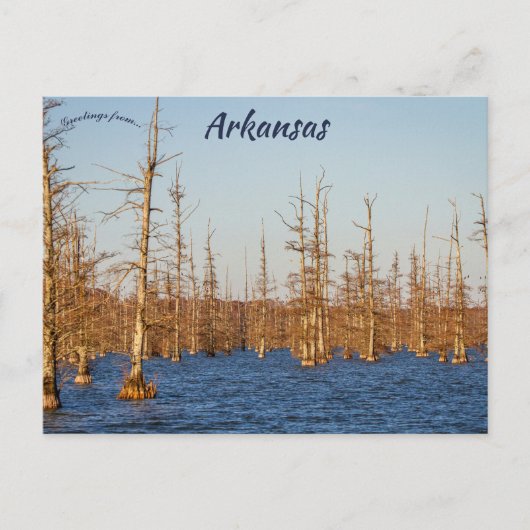 Bomen met cipres in Big Lake, Noord-Arkansas Briefkaart (Voorkant)