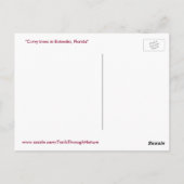 Bomen met de Curvy Gumbo Limbo Briefkaart Forida (Achterkant)