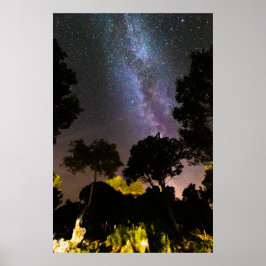 Bomen met een melkachtig landschap poster