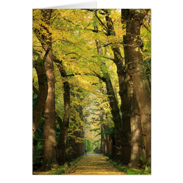 Bomen met Ginkgo Biloba (Voorkant)