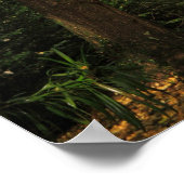 Bomen met Ginkgo biloba Poster (Hoek)