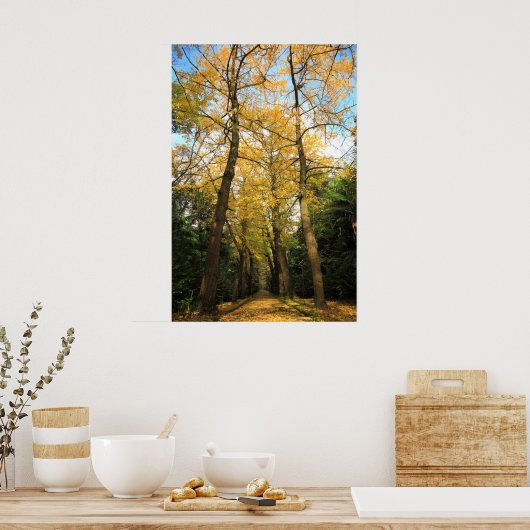 Bomen met Ginkgo biloba Poster (Keuken)