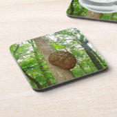 Bomen met grote omsloten bijenkooi bier onderzetter (Linkerzijde)