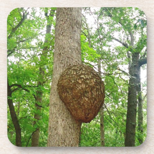 Bomen met grote omsloten bijenkooi bier onderzetter (Voorkant)