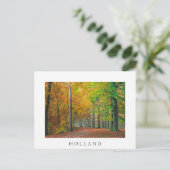 Bomen met herfstbladeren in een bos briefkaart (Staand voorkant)