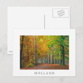 Bomen met herfstbladeren in een bos briefkaart (Voorkant / Achterkant)