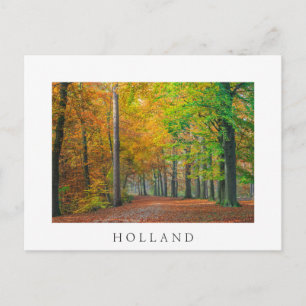 Bomen met herfstbladeren in een bos briefkaart