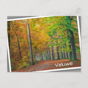 Bomen met herfstbladeren in een bos briefkaart