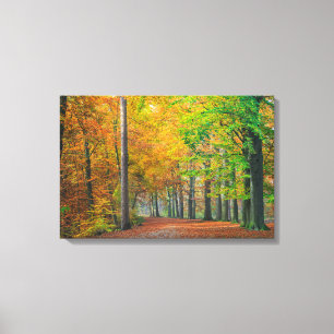 Bomen met herfstbladeren in een bos canvas afdruk