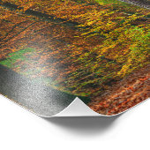 Bomen met herfstbladeren in een bos foto afdruk (Hoek)