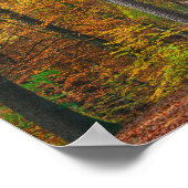 Bomen met herfstbladeren in een bos poster (Hoek)