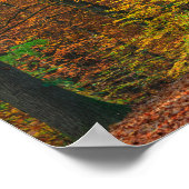 Bomen met herfstloof in een bos poster (Hoek)