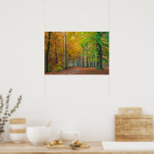 Bomen met herfstloof in een bos poster (Keuken)