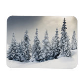 Bomen met hoarfrost en sneeuw magneet (Horizontaal)