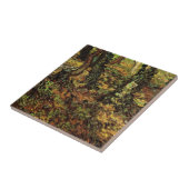 Bomen met Ivy van Vincent van Gogh Tegeltje (Zijkant)