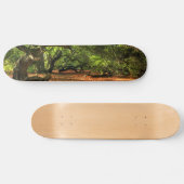 Bomen met kruisingen van Lavizzara Persoonlijk Skateboard (Horizontaal)