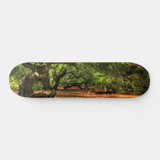 Bomen met kruisingen van Lavizzara Persoonlijk Skateboard (Horizontaal)