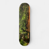 Bomen met kruisingen van Lavizzara Persoonlijk Skateboard (Voorkant)