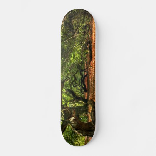 Bomen met kruisingen van Lavizzara Persoonlijk Skateboard (Voorkant)
