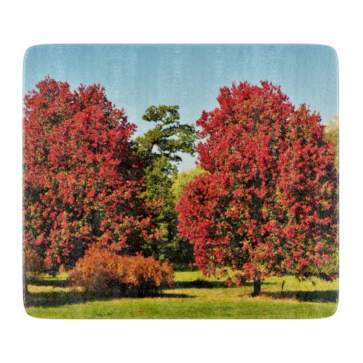 Bomen met mantels in de herfst - glazen kookplaat snijplank (Voorkant)
