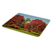 Bomen met mantels in de herfst - glazen kookplaat snijplank (Hoek)