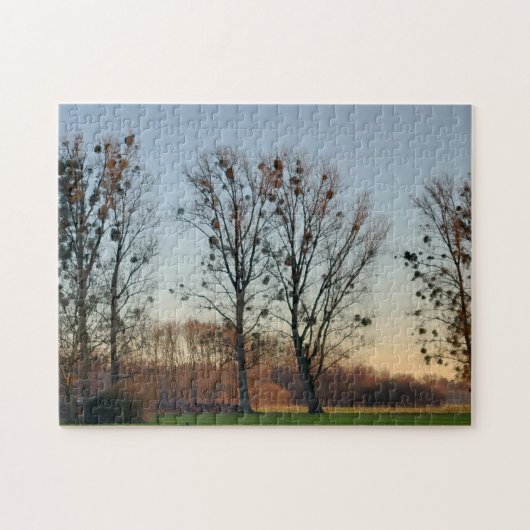Bomen met maretak tegen een heldere hemel legpuzzel (Horizontaal)