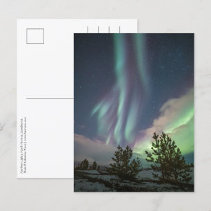Bomen met noordelijke lampjes briefkaart