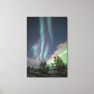 Bomen met noordelijke lampjes canvas afdruk