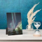 Bomen met noordelijke lampjes fotoplaat (Zijkant)