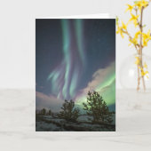 Bomen met noordelijke lampjes kaart (Gele Bloem)