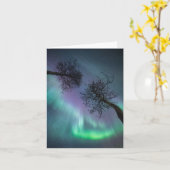 Bomen met noordelijke lampjes kaart (Gele Bloem)