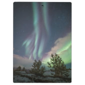 Bomen met noordelijke lampjes klembord (Achterkant)
