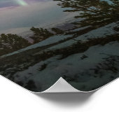 Bomen met noordelijke lampjes poster (Hoek)