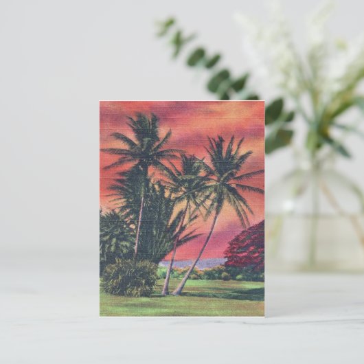 Bomen met platte bomen op het eiland Hawaï, het ou Briefkaart (Staand voorkant)