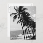 Bomen met zwarte en witte palmen briefkaart (Voorkant / Achterkant)
