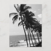 Bomen met zwarte en witte palmen briefkaart (Voorkant)