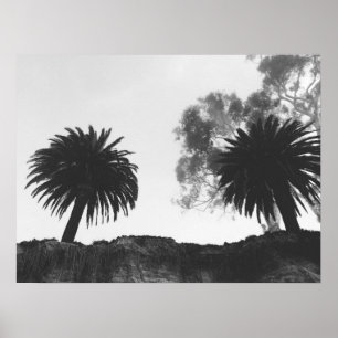 Bomen met zwarte en witte palmen op Cliffside Poster