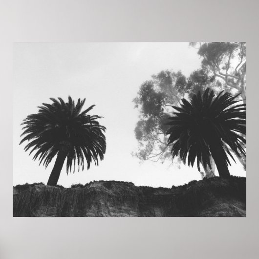 Bomen met zwarte en witte palmen op Cliffside Poster (Voorkant)