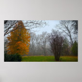 Bomen & Mist, Poster (Voorkant)