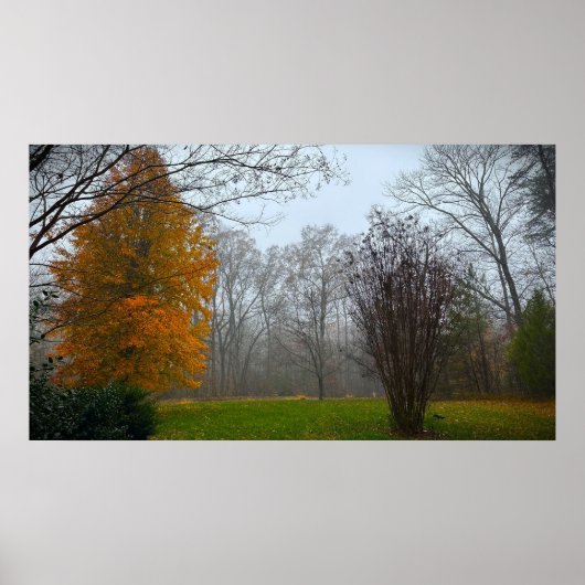 Bomen & Mist, Poster (Voorkant)