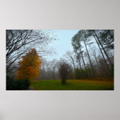Bomen & Mist, Poster (Voorkant)