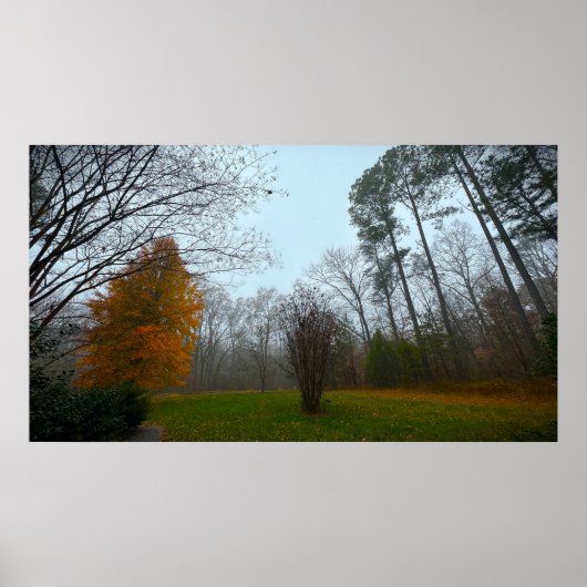 Bomen & Mist, Poster (Voorkant)