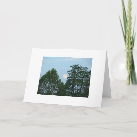 Bomen, Motivatie Citaat Kaart (Voorkant)