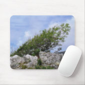 BOMEN MUISMAT (Met muis)