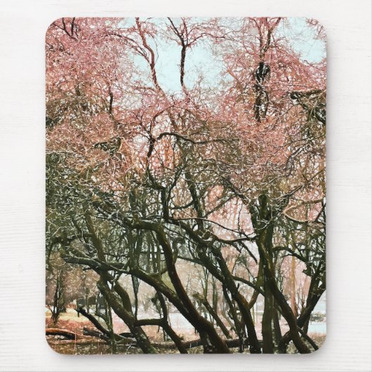 BOMEN MUISMAT (Voorkant)