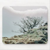 BOMEN MUISMAT (Voorkant)